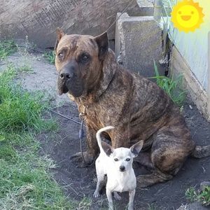 Meet your Posher, Terri